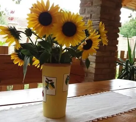 Rita & Daire Beçkerek